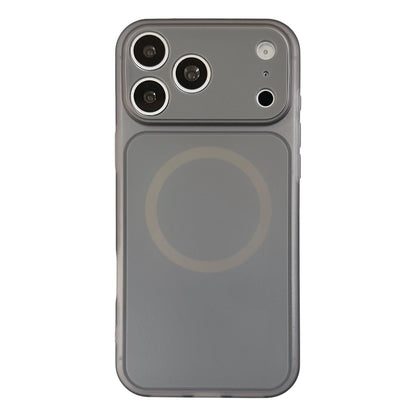 For iPhone 17 Pro Skin Feel Frosted Liquid Silicone Magnetic Phone Case - Gray - EDA009818602D