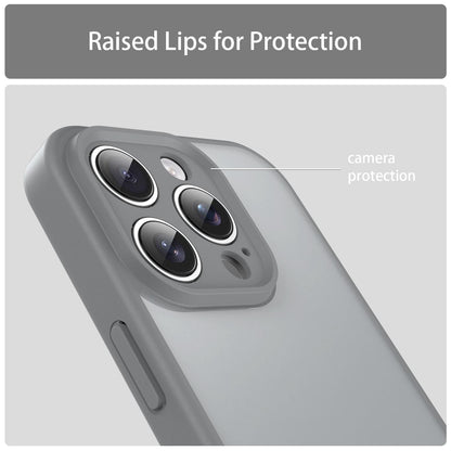 For iPhone 16 Pro Fanying Series Precision Camera Hole PC Hybrid TPU Translucent Frosted Phone Case - Silver Grey - EDA009893414F