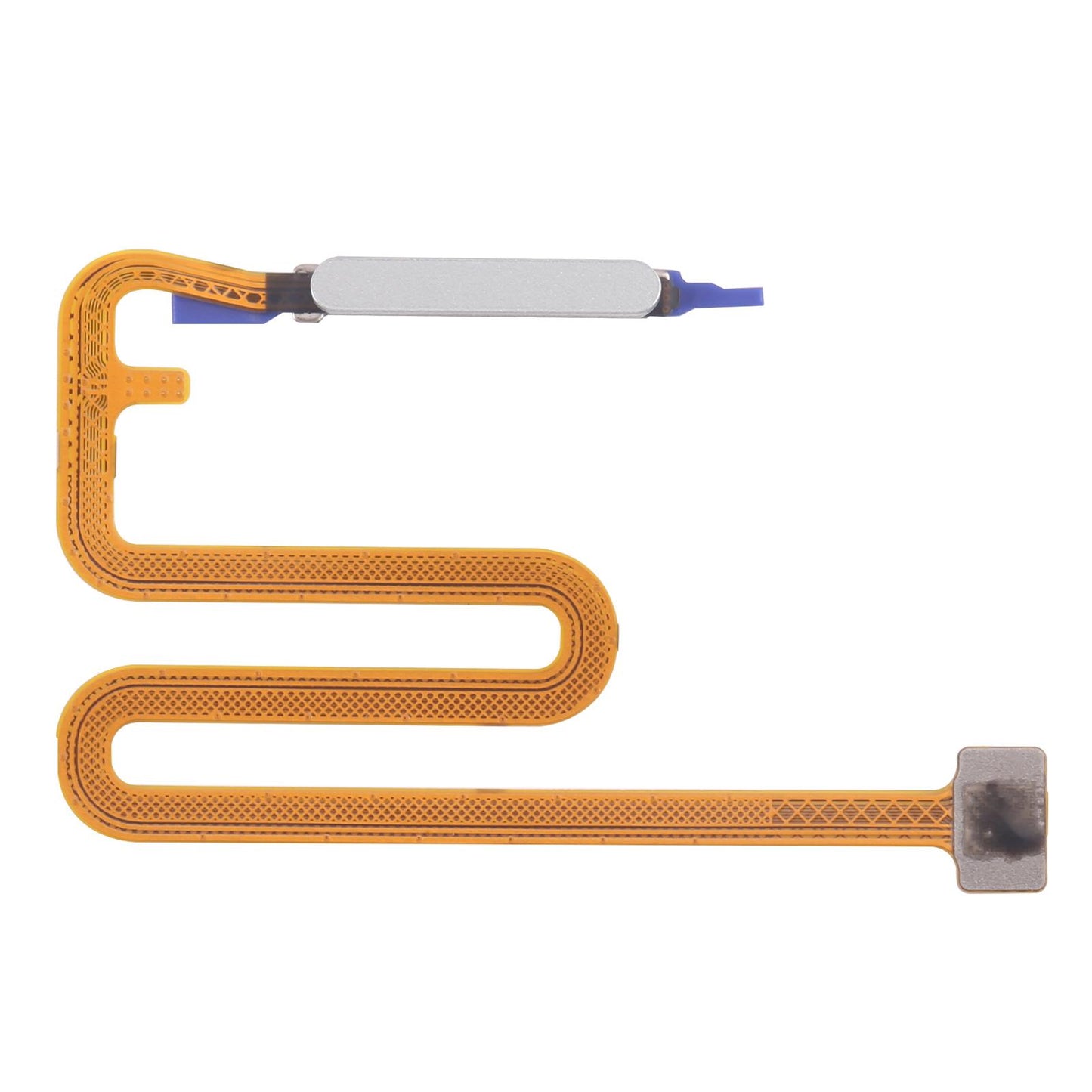 For Samsung Galaxy A06 5G SM-A066B Original Fingerprint Sensor Flex Cable (Light Green)